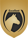 Excellent Horse
