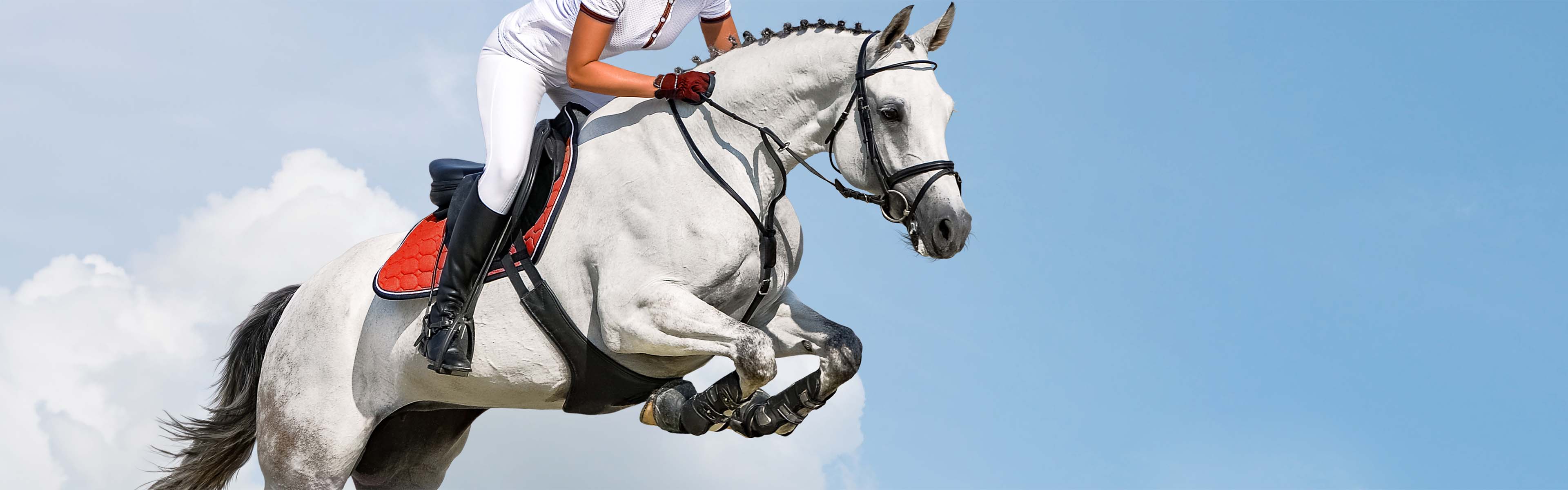 Vitasporal Sport
