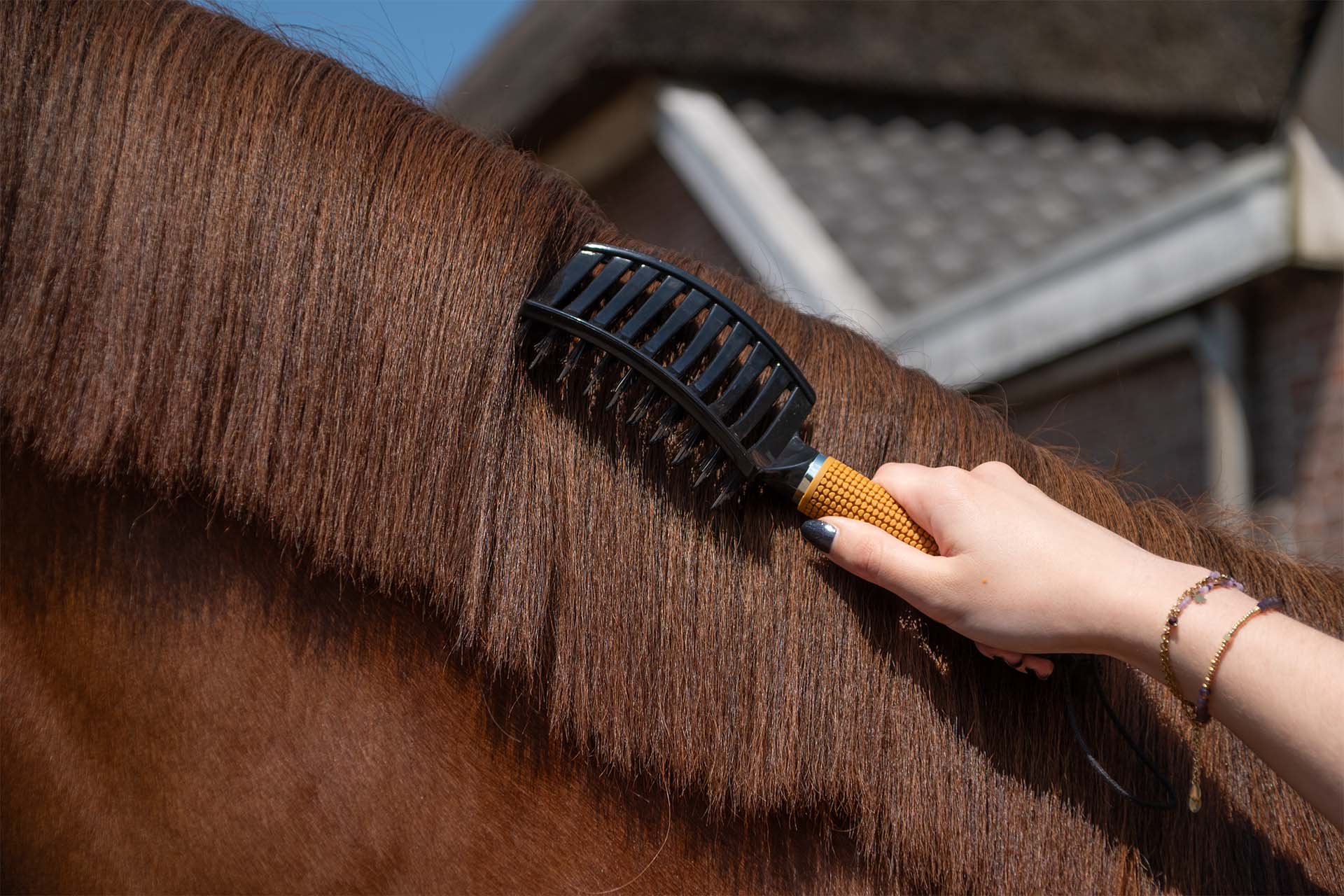 Verzorging - Borstels