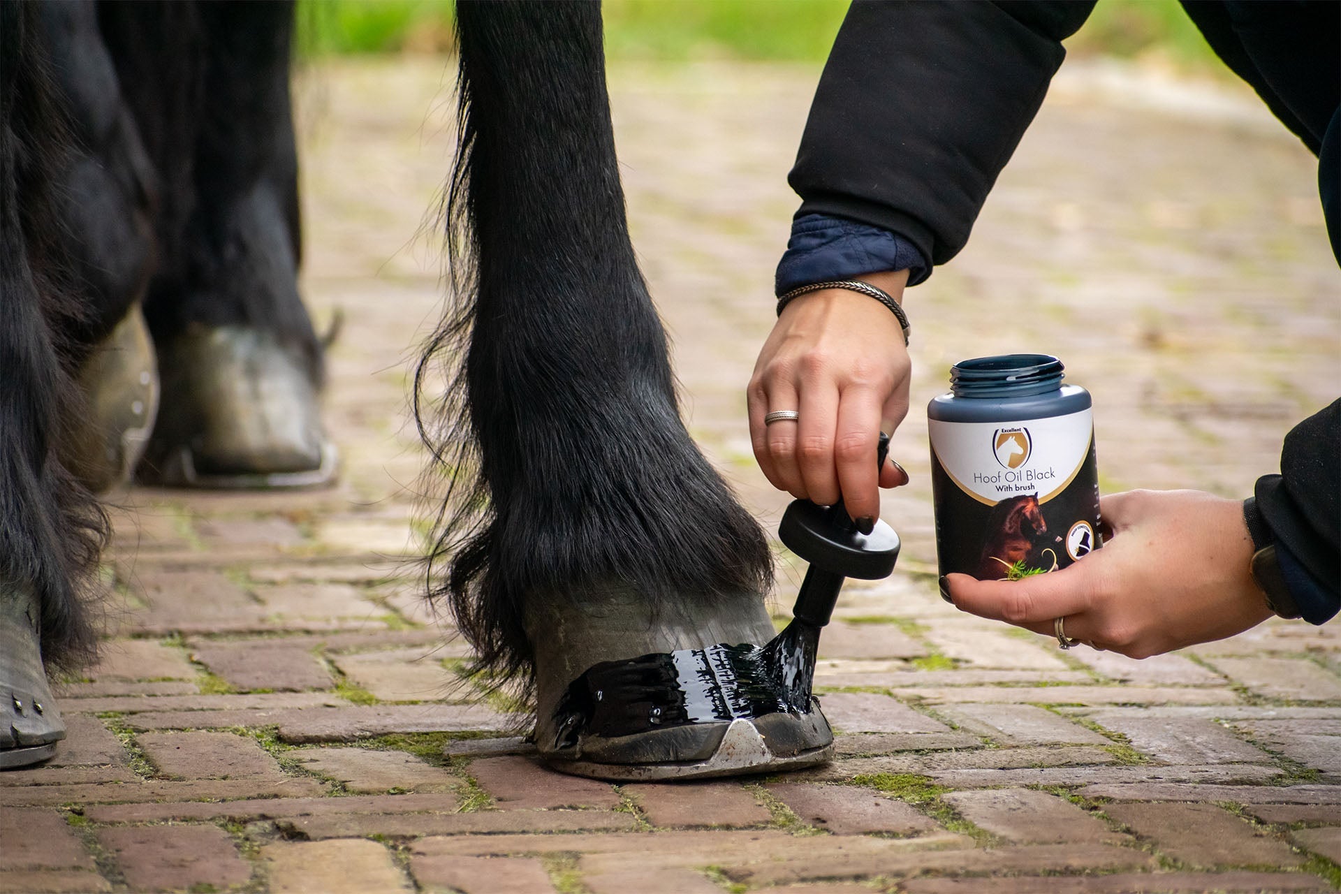Verzorging - Hoefverzorging