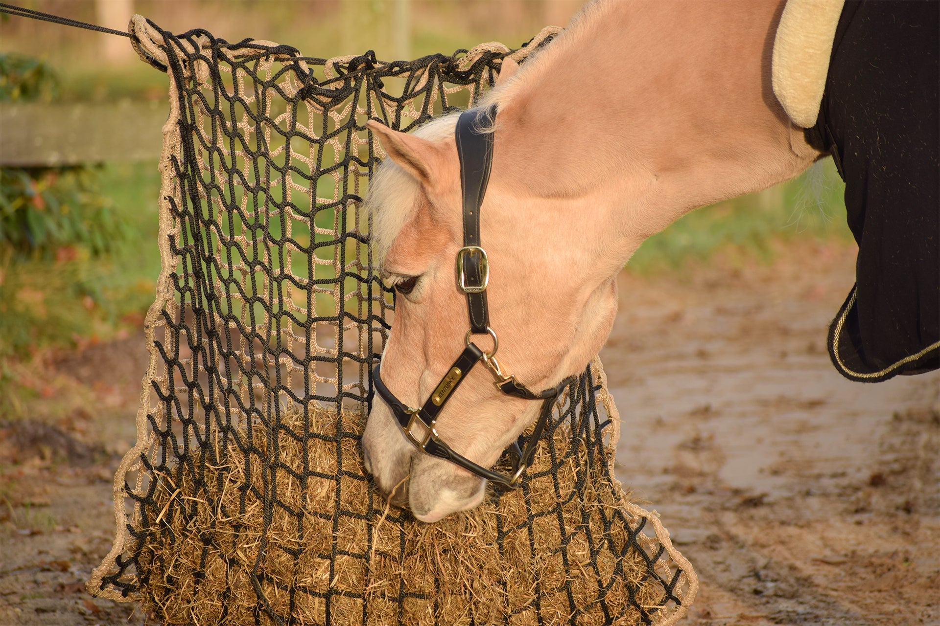Stal & Ruiter - Slowfeeders