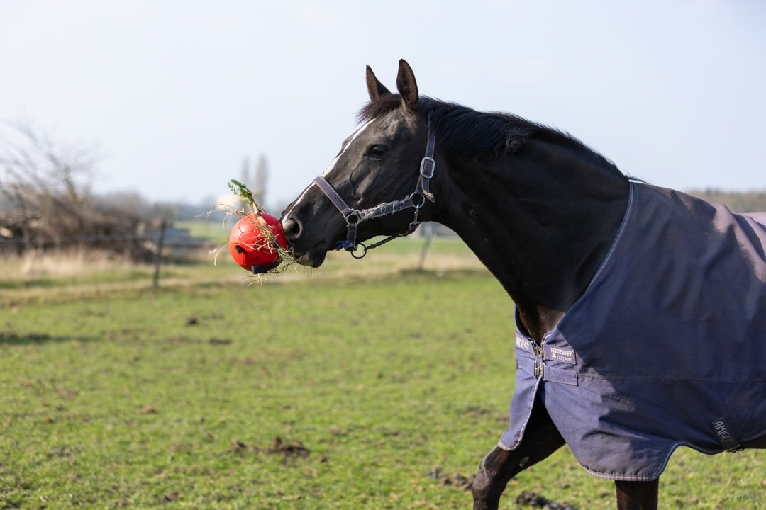 Spelen & Belonen - Speelgoed
