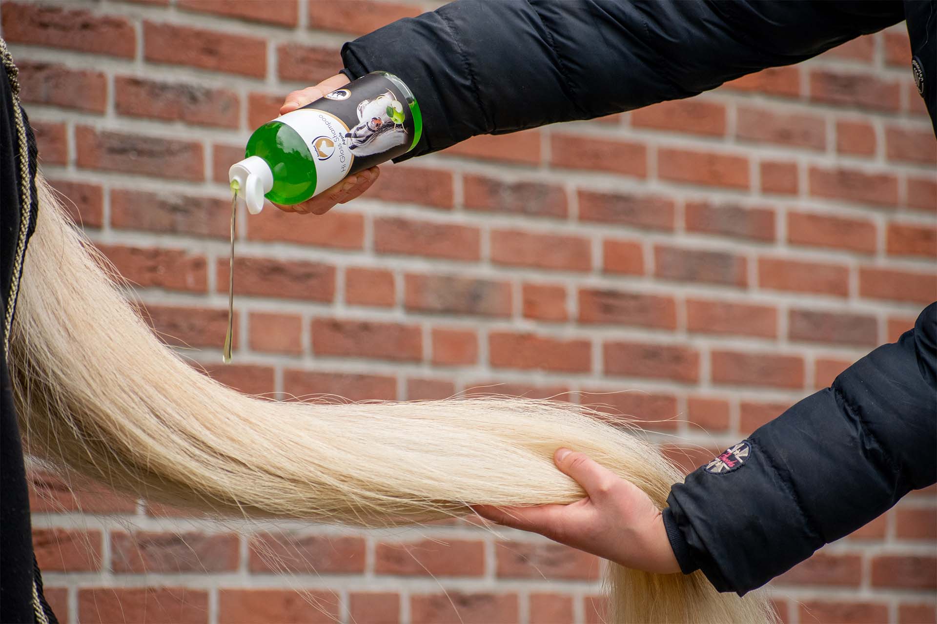 Verzorging - Shampoo