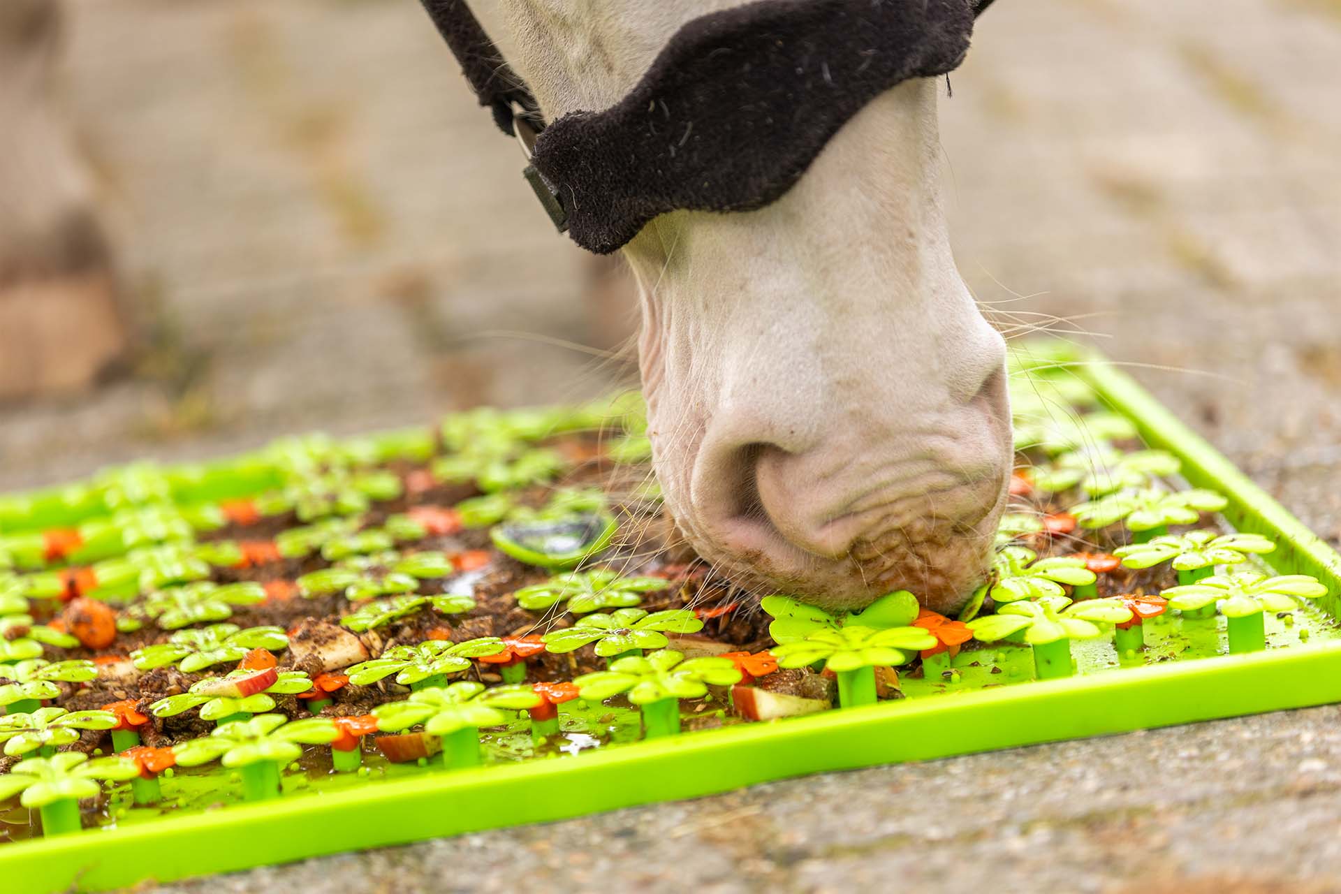 Spelen & Belonen - Snuffelmat