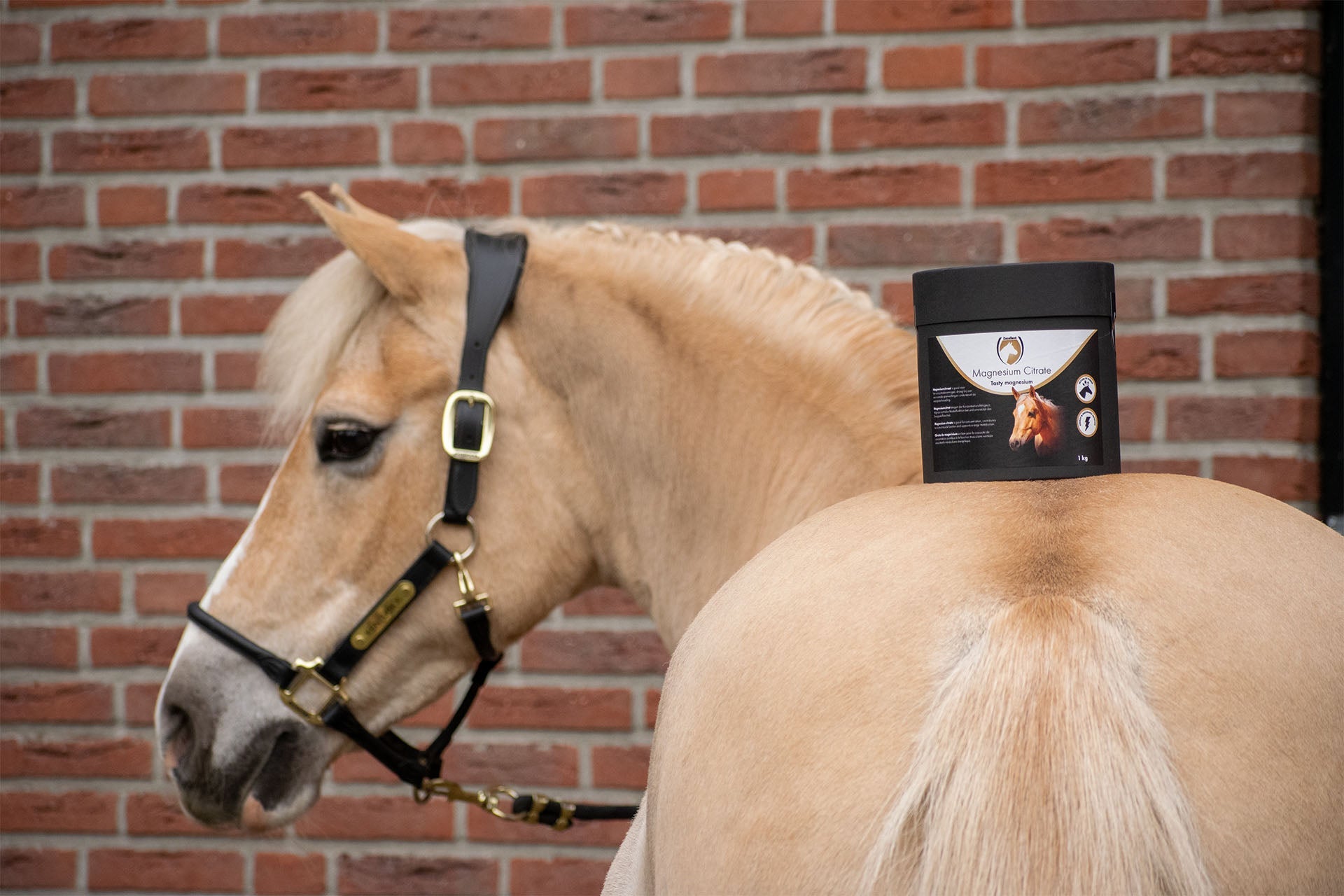 Supplementen - Spieren