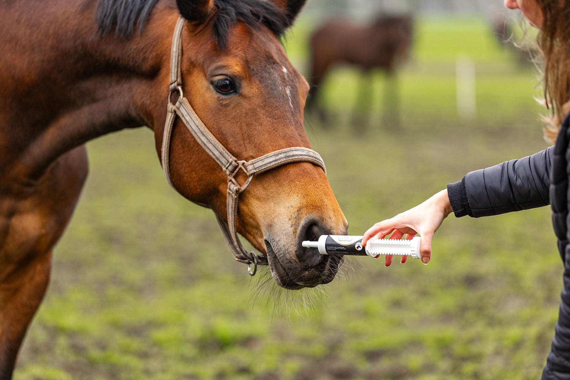 Supplementen - Stress