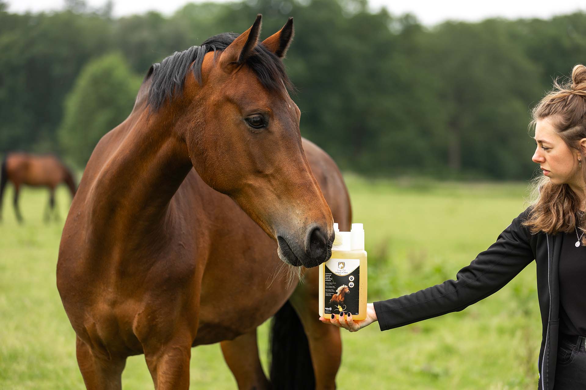 Supplementen - Weerstand