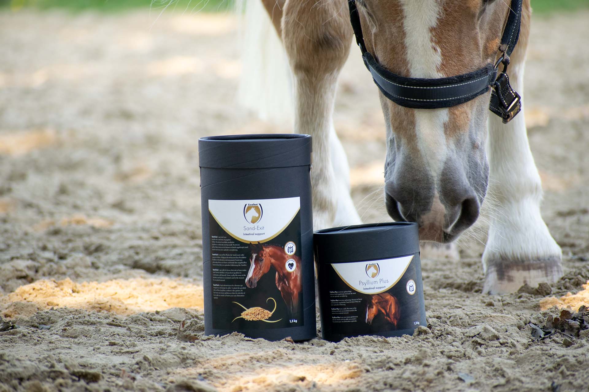 Supplementen - Spijsvertering