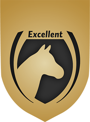 Excellent Horse