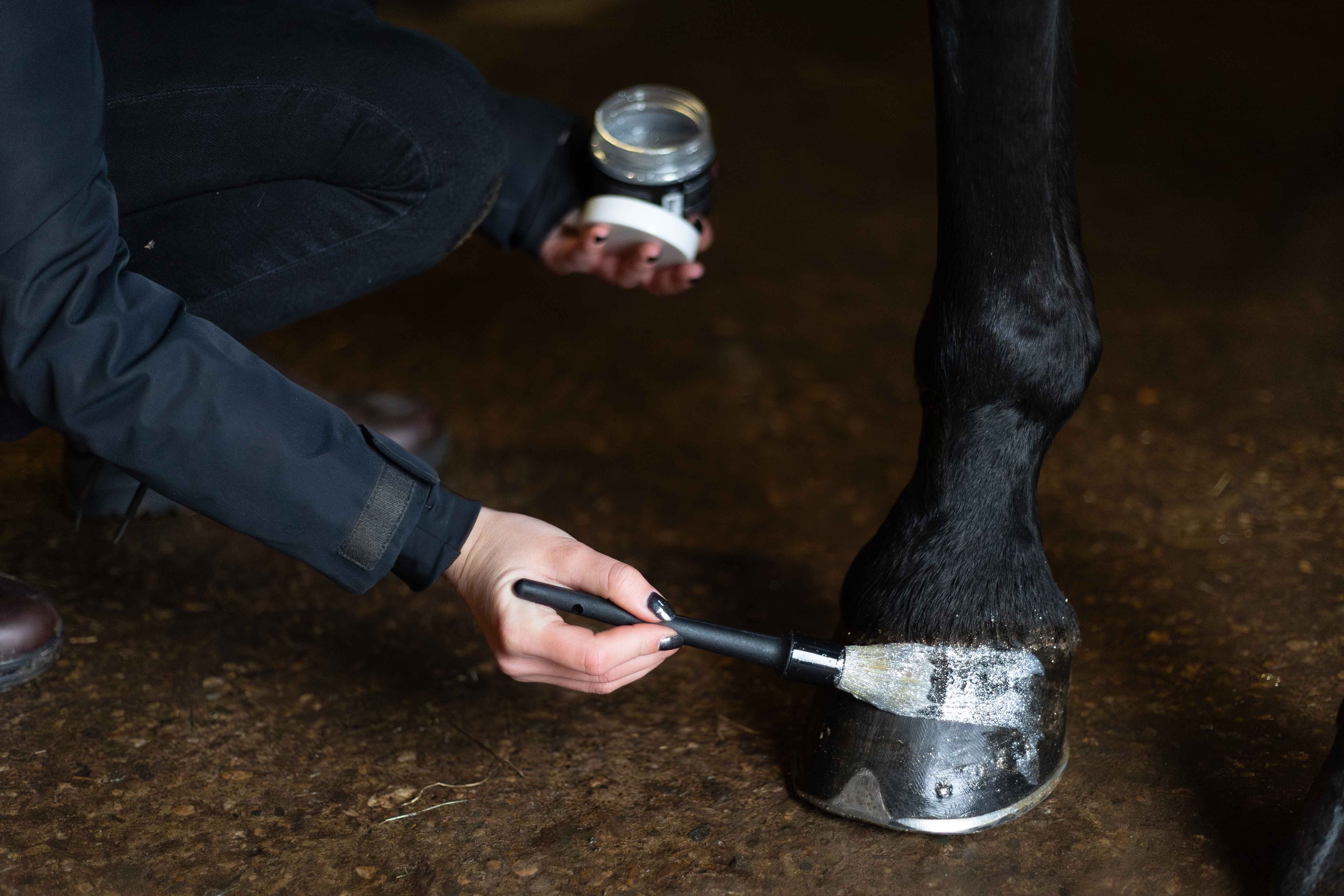 Excellent Horse Hi Gloss Glitter Hoof Polish