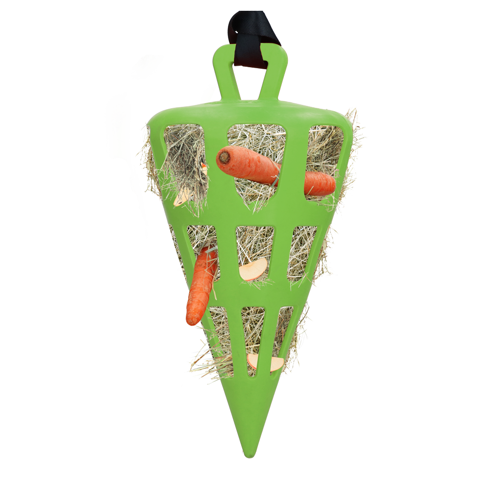 Hay Slow Feeder Fun & Flex Carrot