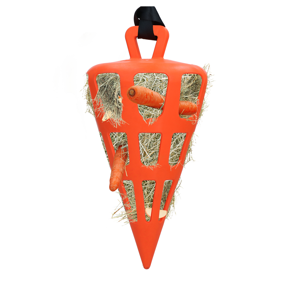 Hay Slow Feeder Fun & Flex Carrot
