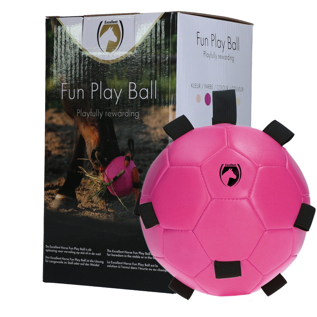 Excellent Horse Fun Play Ball