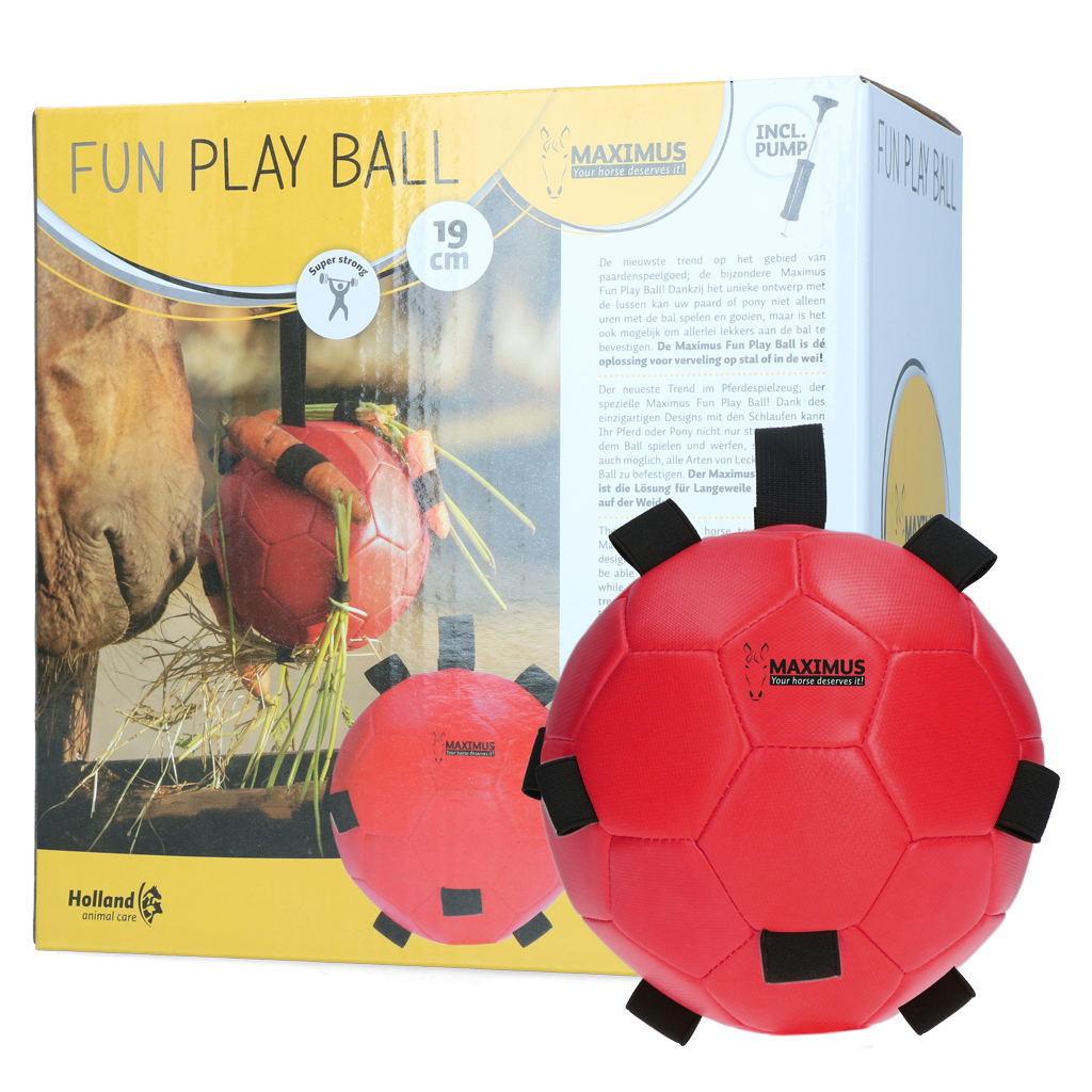 Excellent Horse Fun Play Ball