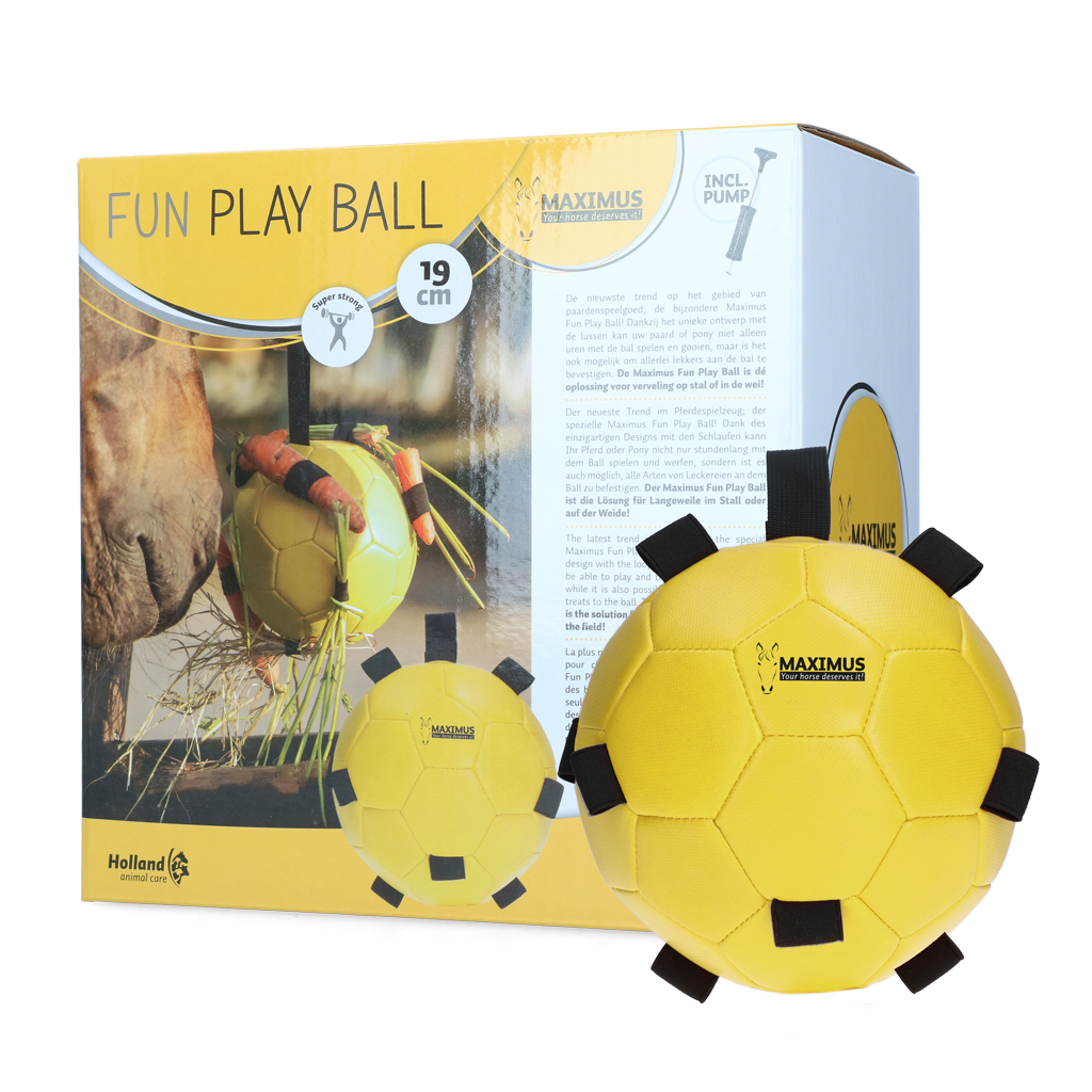 Excellent Horse Fun Play Ball