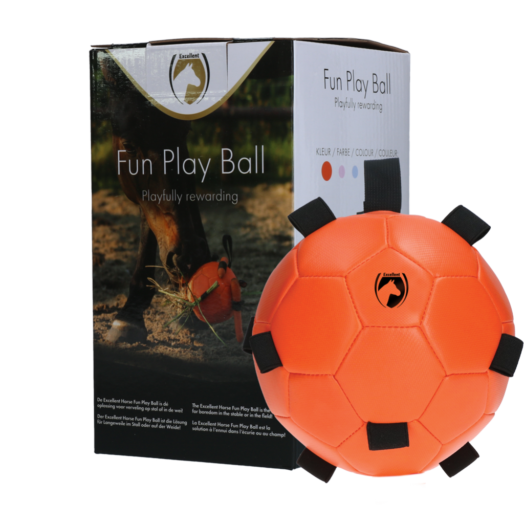 Excellent Horse Fun Play Ball