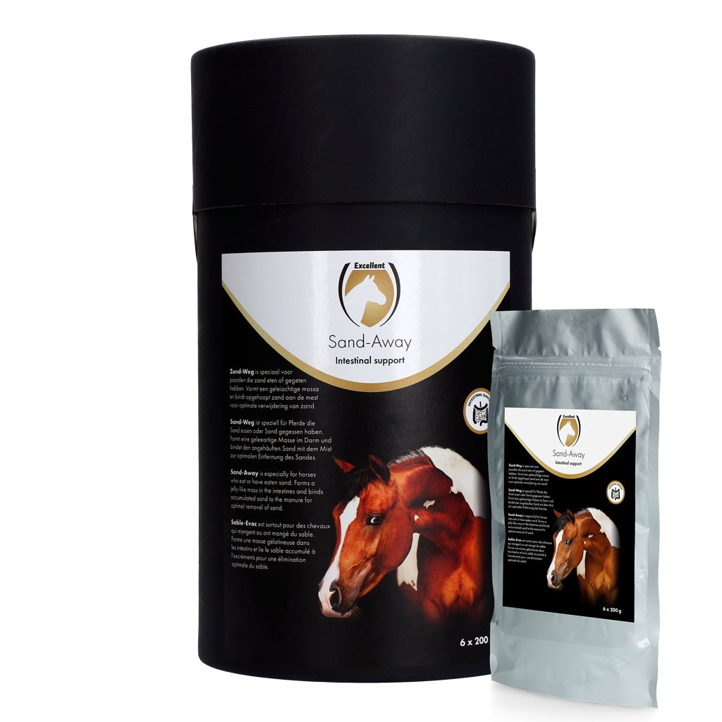 Excellent Horse Sand-Away