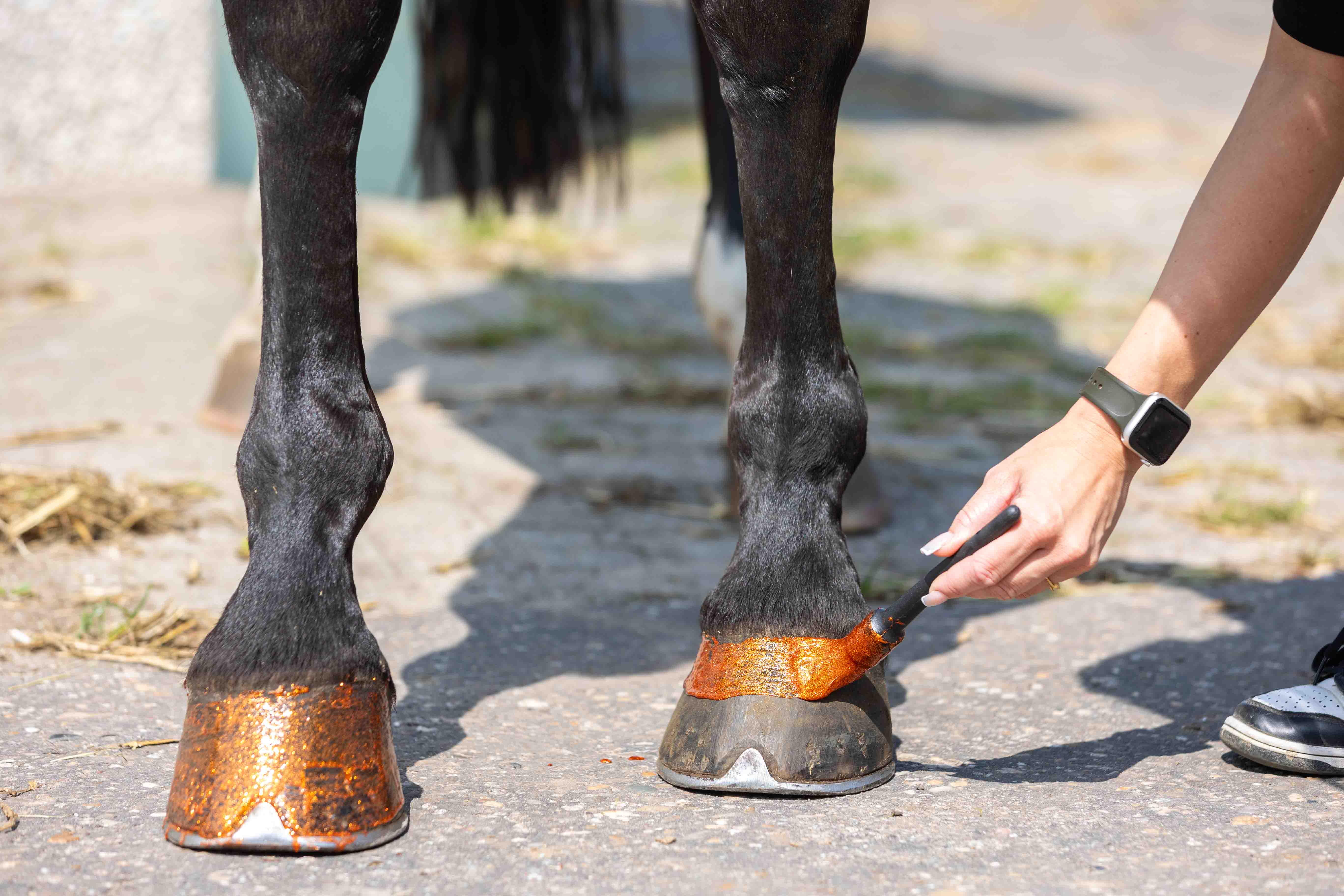 Excellent Horse Hi Gloss Glitter Hoof Polish