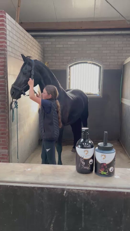 Load video: Excellent Horse Hi Gloss Shampoo Black